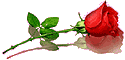 /pic/uploaded/e39450899e0f2c8023ea26ab83e884cd.gif