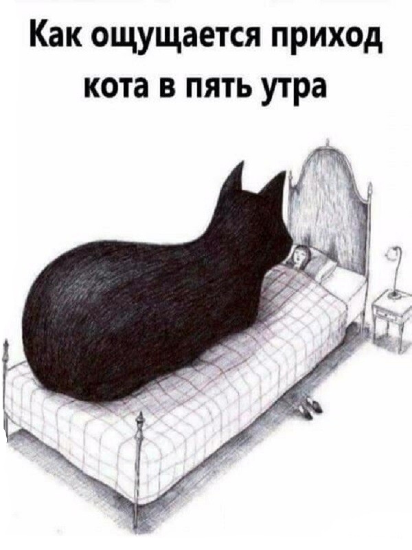 /pic/uploaded/e7j34WZNNlw.jpg