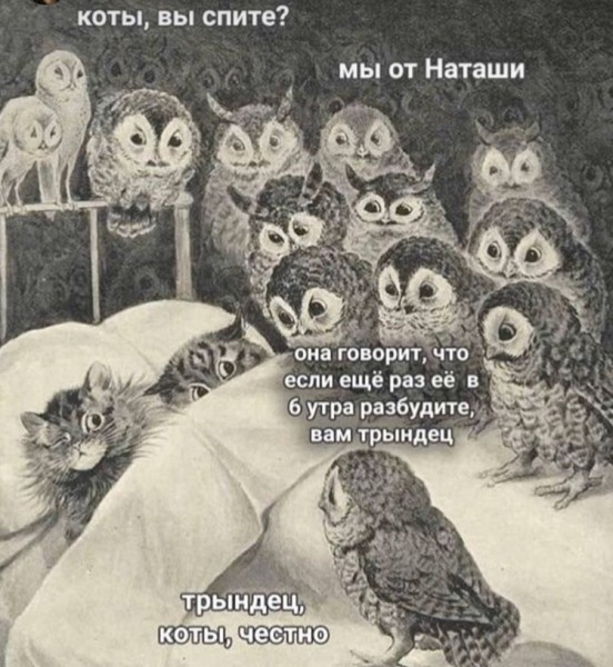 /pic/uploaded/eule.jpg
