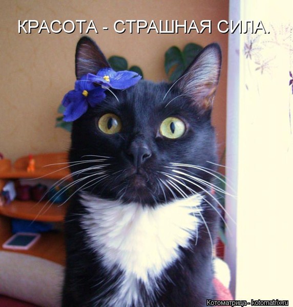 /pic/uploaded/f090cfb00390bd4db30d490f0fed1917_i-19759.jpg