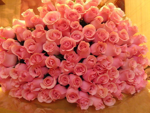/pic/uploaded/f839e0012e51632f3b95a9a1daa35fd1c_34c91fac8e7021caf093fe9ce1bca77c_139679544647_800px.jpg