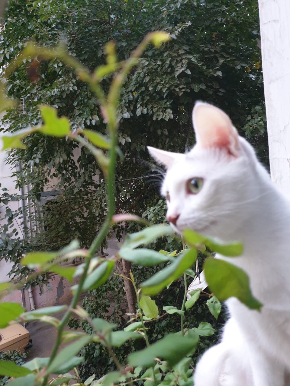 /pic/uploaded/fIMG-20191017-WA0003.jpg