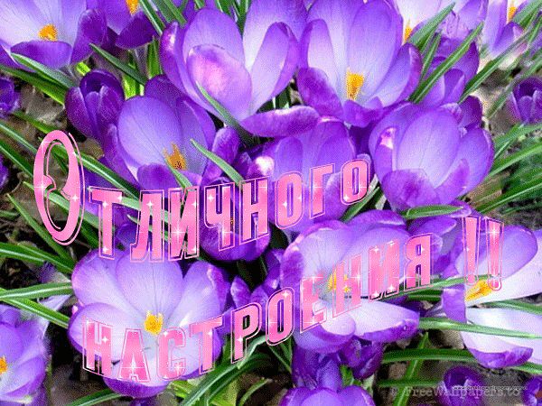 https://www.easy-beauty.ru/pic/uploaded/getImageCAIVIITW.jpg