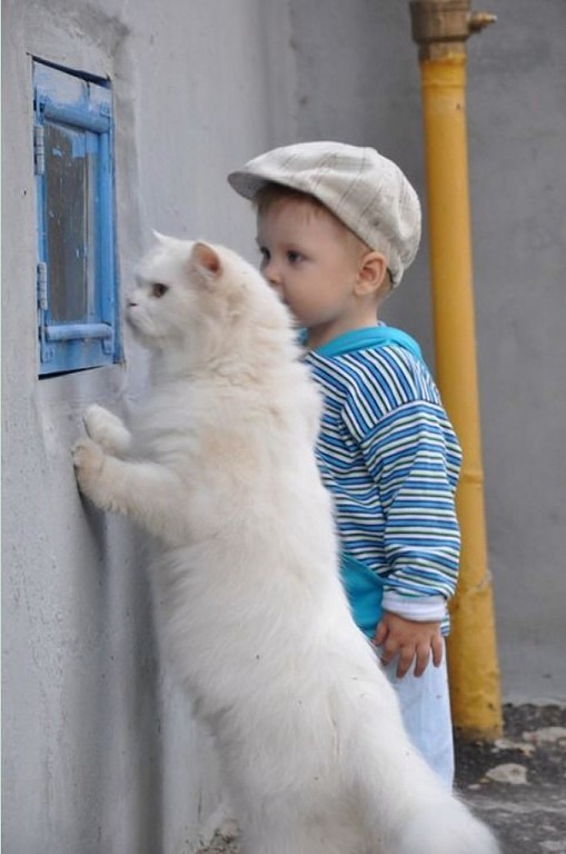 /pic/uploaded/getImageJ7JQKN05.jpg