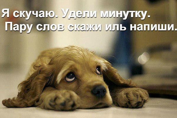 /pic/uploaded/getImageN4I55D6E.jpg