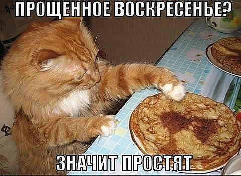 /pic/uploaded/getImage_(83).jpg