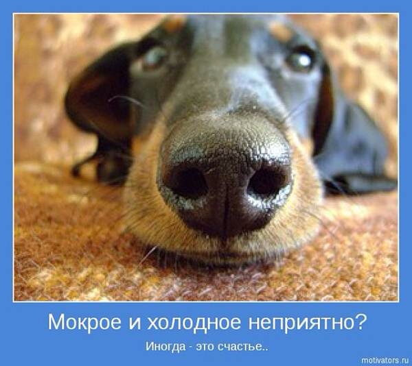 /pic/uploaded/gimage.jpg