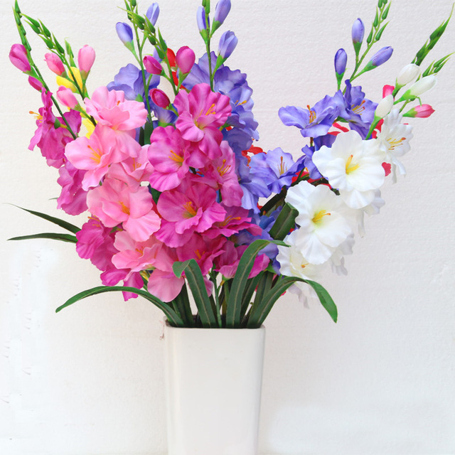 /pic/uploaded/gladiolusy.jpg