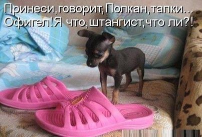 /pic/uploaded/hdimage.jpg