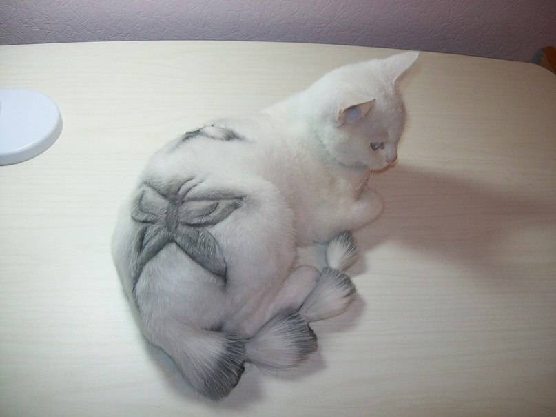 /pic/uploaded/image9VDQNQO6.jpg