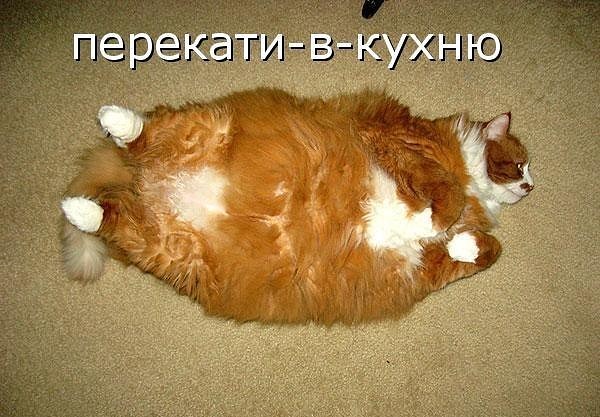 /pic/uploaded/imageL6U32J4W.jpg