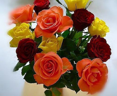 /pic/uploaded/imageXIT44GV9.jpg