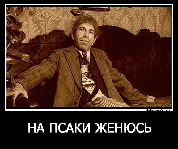 /pic/uploaded/image_(15).jpg