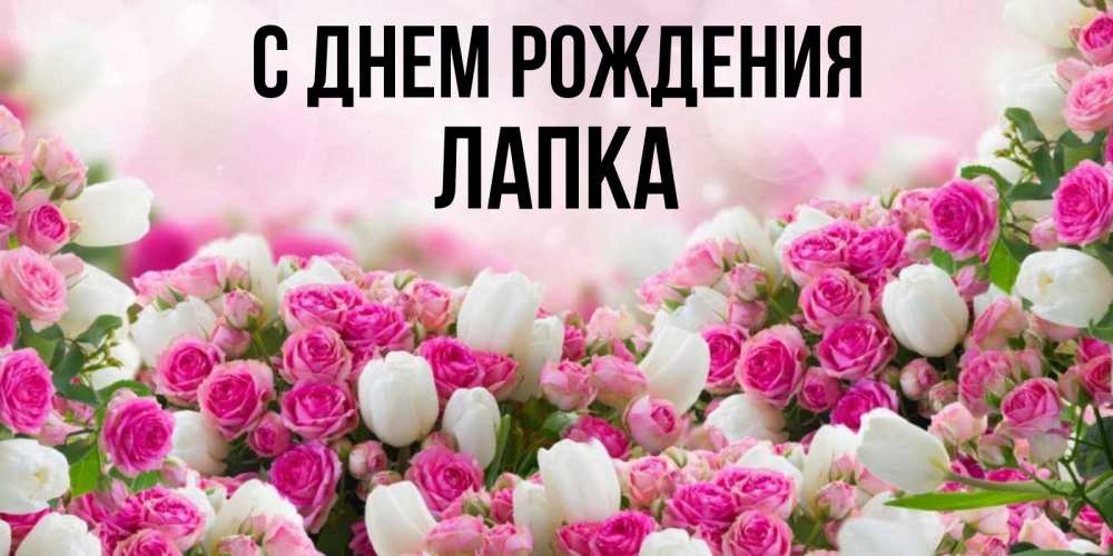 /pic/uploaded/kartinka-Lapka-S-dnem-rozhdeniya-313.jpg