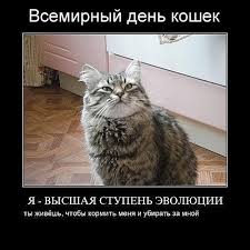 /pic/uploaded/kot1.jpg