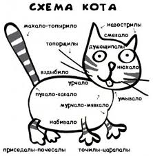 /pic/uploaded/kot_sxema.jpg
