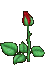 /pic/uploaded/m06.gif