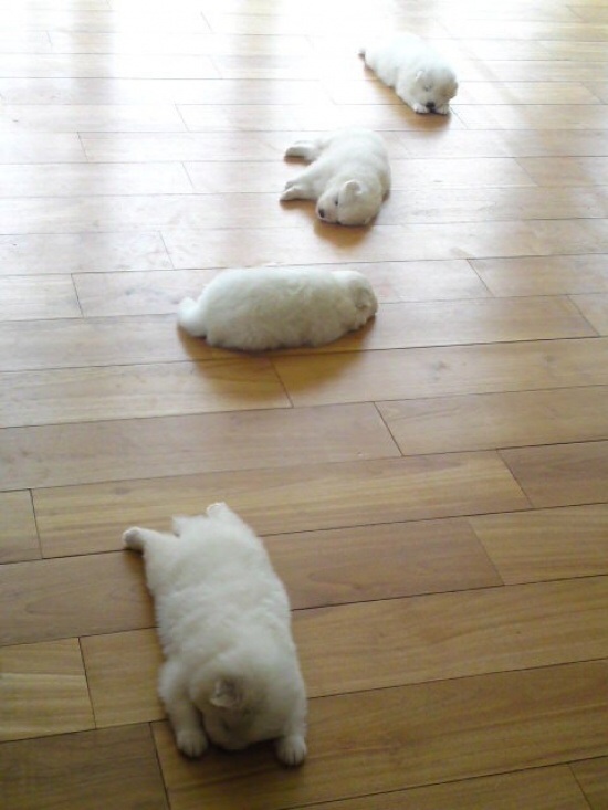 /pic/uploaded/odrimage.jpg
