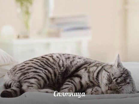 https://www.easy-beauty.ru/pic/uploaded/okot13.jpg