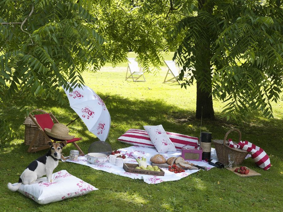 /pic/uploaded/picnic-bajo-los-arboles-937370.jpg