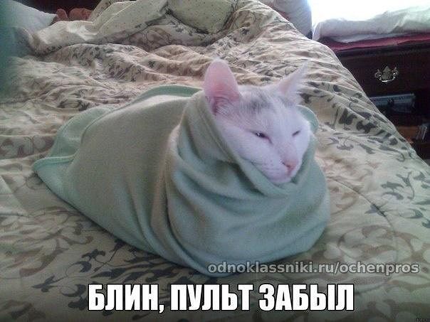/pic/uploaded/qgetImage.jpg