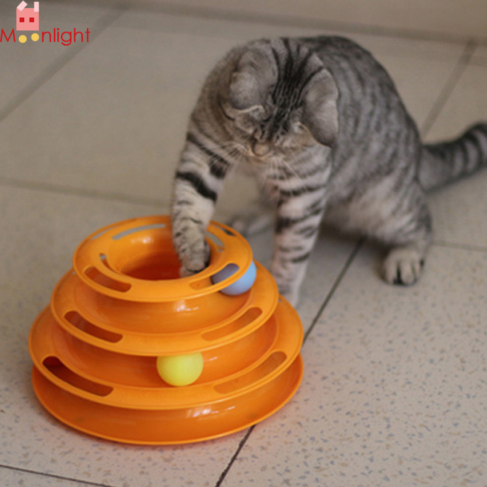 /pic/uploaded/rKotenok-Pet-Cat-SHCHenok-S'emnyy-Igrat'-V-Igrushki-Razvivaushchie-Intellekt-Razvivaushchie-Sumasshedshiy-2-Imeushchiysya-Cvet.jpg