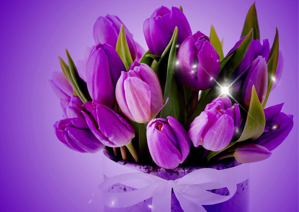 /pic/uploaded/rgetImage_(50).jpg