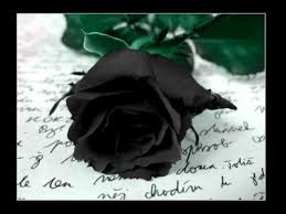 /pic/uploaded/rosa.jpg