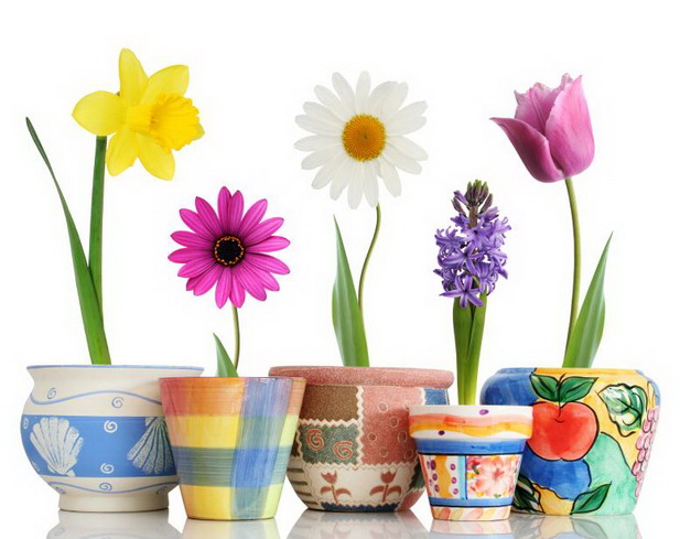 /pic/uploaded/s112120-778x617-Spring-Flowers-in-Pots.jpg