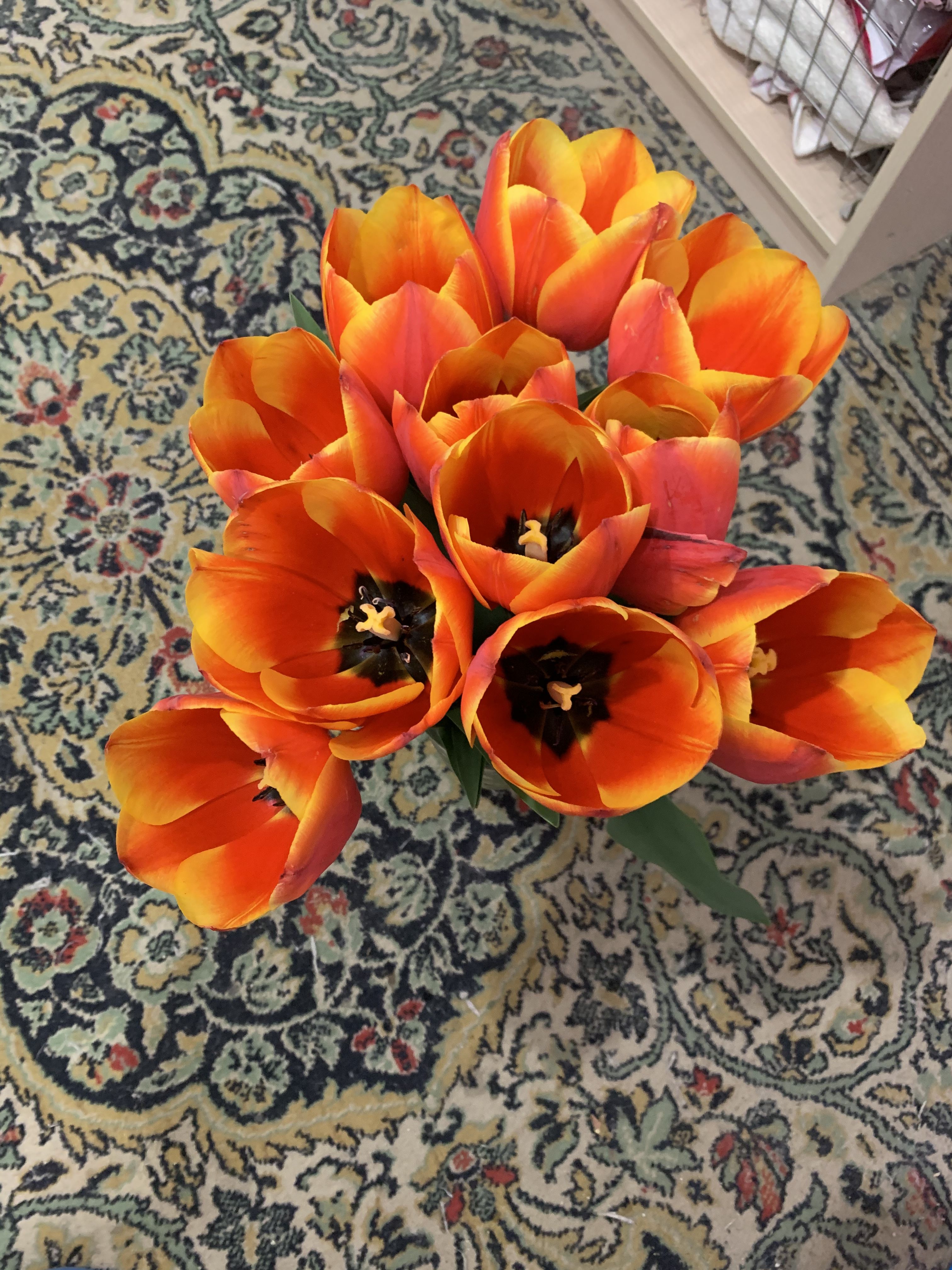 /pic/uploaded/sB52EC991-E3FF-481D-9111-3C3DEA529AA2.jpeg