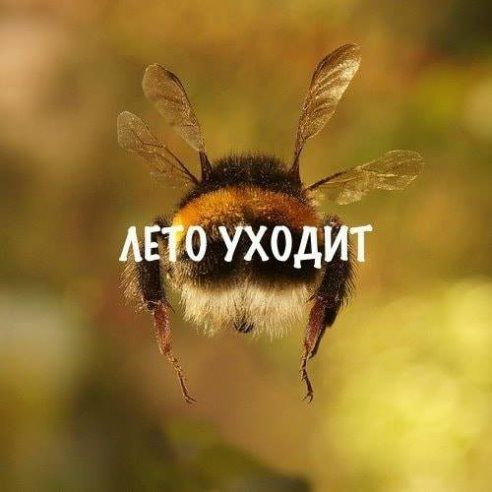 /pic/uploaded/sd_image.jpg