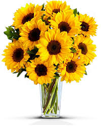 /pic/uploaded/sonnenblumen.jpg