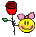 /pic/uploaded/sroseg-smiley.gif