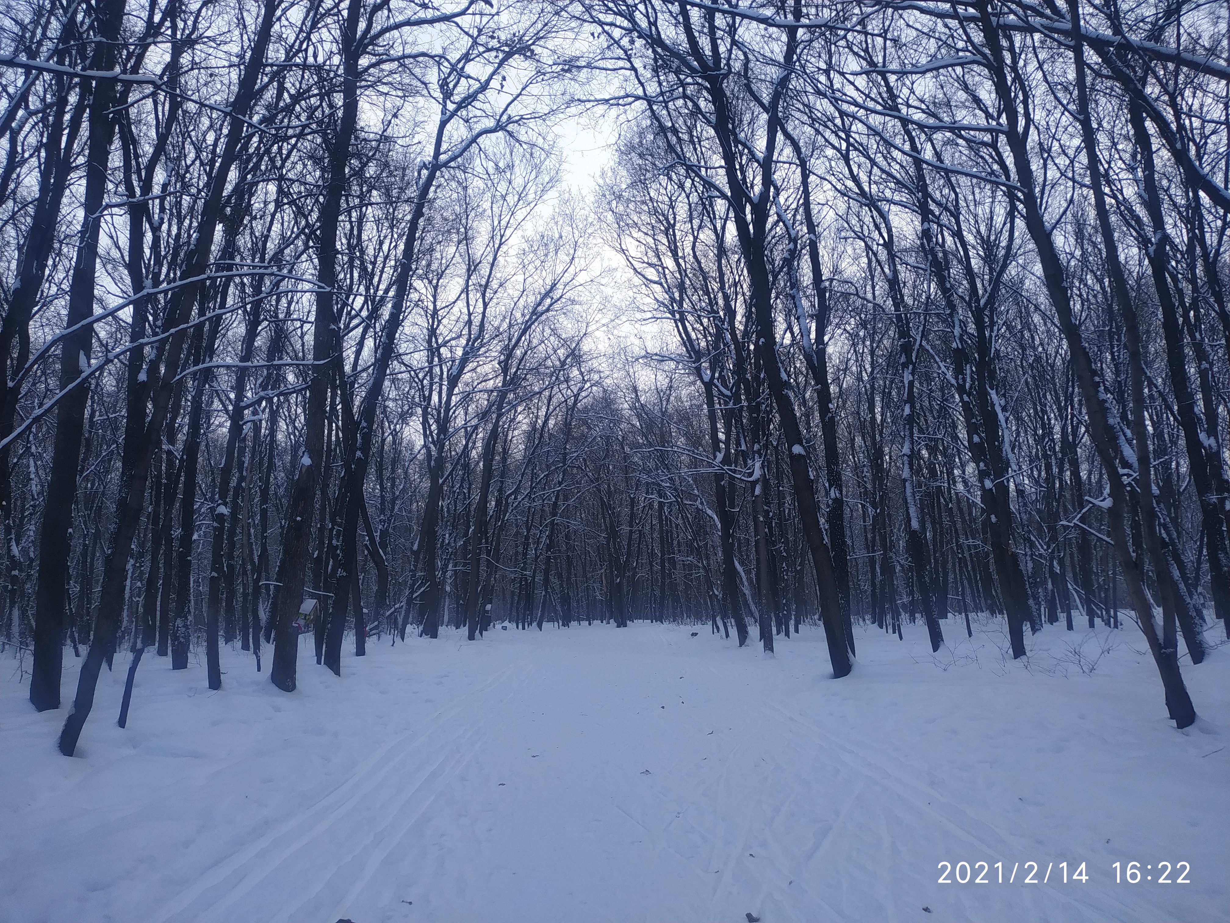 /pic/uploaded/tIMG_20210214_162215.jpg