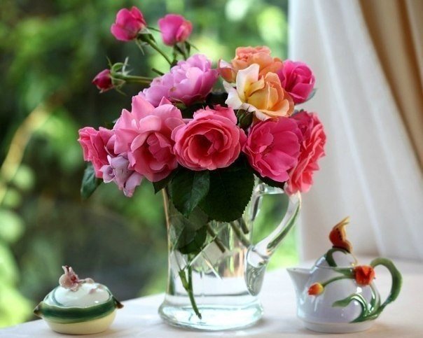 /pic/uploaded/tMSw5Bk-wxQ.jpg