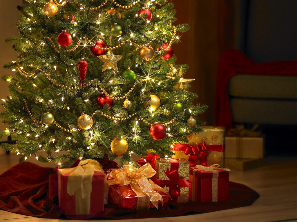 /pic/uploaded/tree.jpg