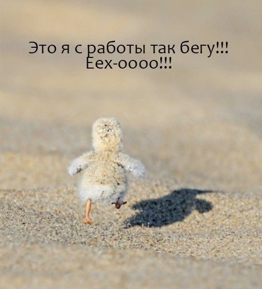 https://www.easy-beauty.ru/pic/uploaded/xXsvdJ6_-l0.jpg